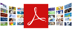 Adobe Reader