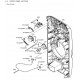 MHCV11 Sony Audio Exploded Diagram