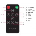 BAUHN Audio Remote