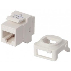 Wall Plate Insert - CAT5e Ethernet