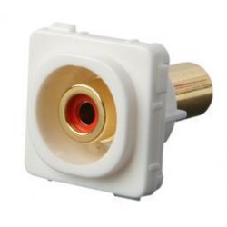 Wall Plate Insert - RCA White (RED version shown)