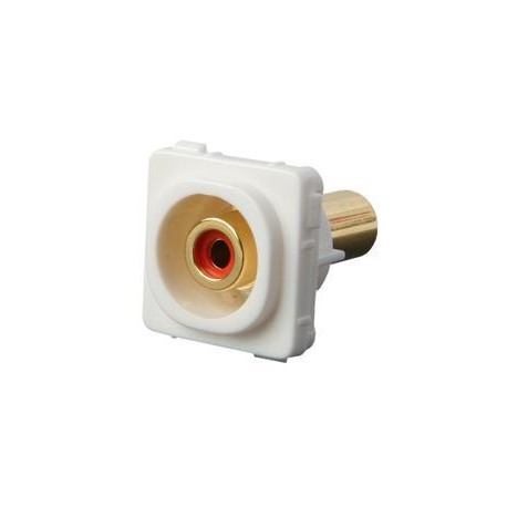 Wall Plate Insert - RCA White (RED version shown)