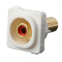 Wall Plate Insert - RCA White