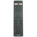 LINSAR TV Remote LS40FHDG-SCA
