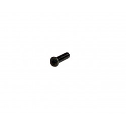 Sony Mic Holder Screw  +P2.6X10 (1 Screw)