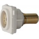 Wall Plate Insert - RCA White 