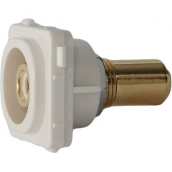 Wall Plate Insert - RCA White 