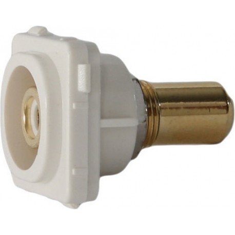 Wall Plate Insert - RCA White 