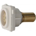Wall Plate Insert - RCA White