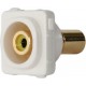 Wall Plate Insert - RCA Yellow 