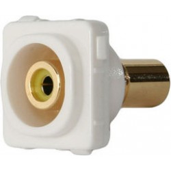 Wall Plate Insert - RCA Yellow 