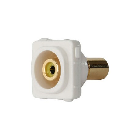 Wall Plate Insert - RCA Yellow 