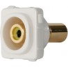 Wall Plate Insert - RCA Yellow