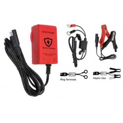 Fully Automatic Lead Acid Battery Charge 6V / 12V