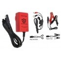 Fully Automatic Lead Acid Battery Charge 6V / 12V