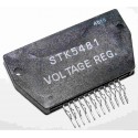 Integrated Circuit STK5481