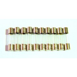 Glass Fuse M205
