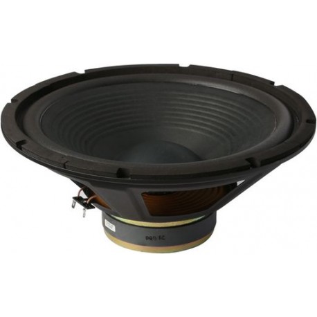12 inch 100 watt subwoofer