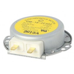 Microwave Turntable Motor