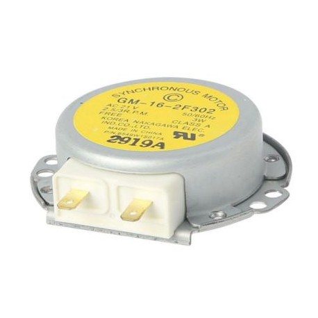 Microwave Turntable Motor