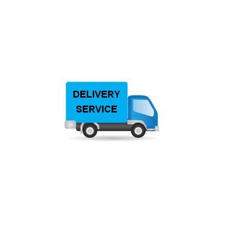 Delivery Service for Large Parcel 