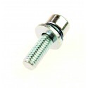 Sharp Screw 5x20