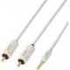 Audio Cord 3.5mm Plug to 2x RCA Male - 2 Metres