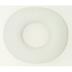 **No Longer Available** Sony Ear Pad WHITE MDRNC8