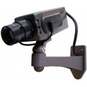 Dummy Cameras