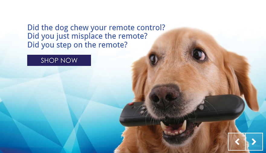 Need a remote?
